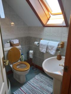 Rural Farmhouse - Poughill - 9