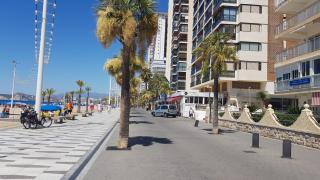 1ª LINEA PLAYA LEVANTE -4-6 pax Aptº Cachirulo - Benidorm - 5