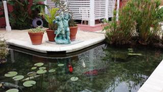 Windemere Inn by the Sea - Melbourne - 7