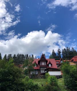 Furnica 12 - Boutique apartment Sinaia - Sinaia - 0