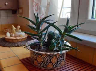 Villino San Martino 350m dal mare with covered parking - Viareggio - 2