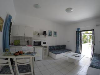 Aigialis Apartments & Studios - Kokkini Khanion - 7