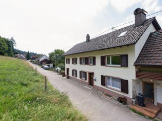 Apartment in Malsburg with Garden - Marzell - 6