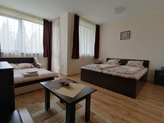 Borovets Gardens Studio D36 - Borovets - 7
