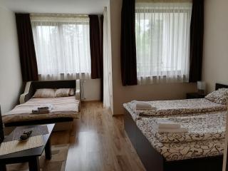 Borovets Gardens Studio D36 - Borovets - 6