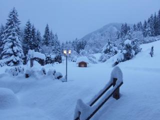 Hotel Pausa - Montagna - 6