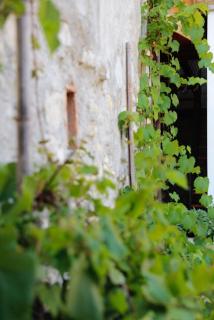 Romantic Boutique Hospitality - Revine Lago - 8