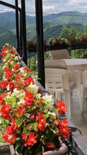 Smestaj Milanović - 0