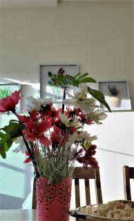 Teaz Apartment @ Iris House Resort - 1