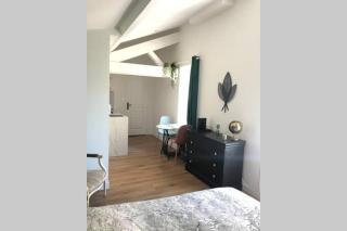Studio sous les toits - Lyon - 4