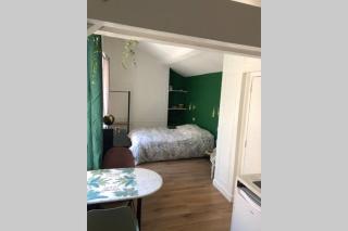 Studio sous les toits - Lyon - 1