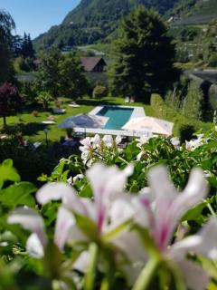 Pension Gartscheid - Lana - 5
