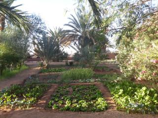 Dar Paru - Mhamid - 1
