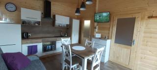 APARTAMENT DOMEK CAŁOROCZNY - Ciechocinek - 7