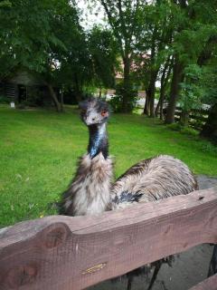 Ferienhaus HCR Grimmen - 3