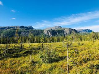 Dyrja Domes - Hemsedal - 2