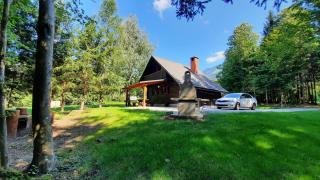 Forrest House - Golnik - 6