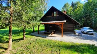 Forrest House - Golnik - 7
