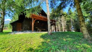 Forrest House - Golnik - 0