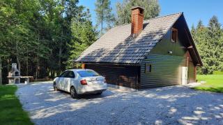 Forrest House - Golnik - 5