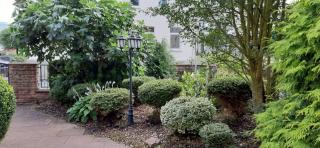 Hotel Carolinenhof - Bad Pyrmont - 8
