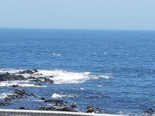 JEJU Amoje - Seogwipo - 1