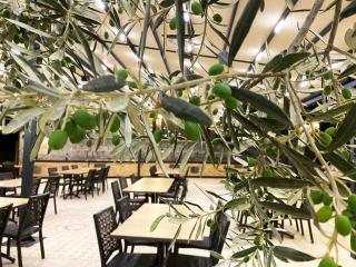 Assos Park Hotel - Behramkale - 4