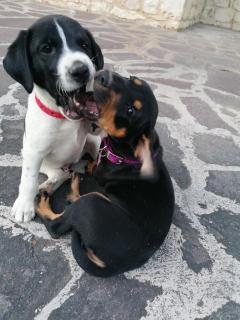 Agriturismo Etico Le Grazie - 3