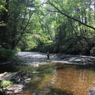 Countryside Cottages - Bartonsville - 4