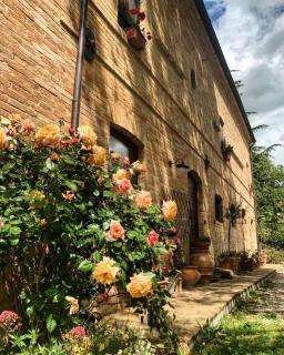 Countryhouse Montebello - Grottazzolina - 9