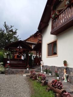 Pensiunea Viorica - 1