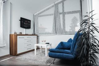 Istriana boutique apartment - Nova Gorica - 1
