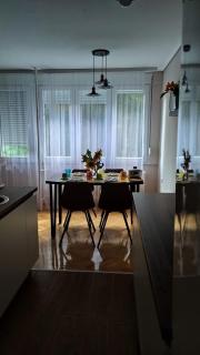 Duka Apartment - Niš - 0