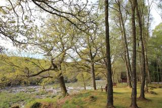Burnbank Lodges - Spean Bridge - 6