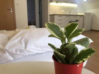 Aparthotel Elly - Pomorie - 7
