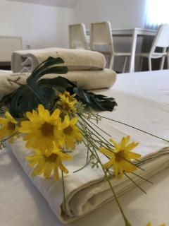 Aparthotel Elly - Pomorie - 3
