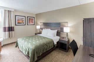 Quality Inn & Suites Plattsburgh - Plattsburgh - 5