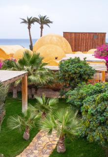 Dive Urge - Dahab - 6