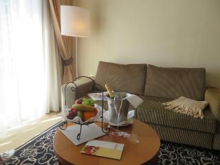 Ringhotel Bundschu - Bad Mergentheim - 1
