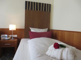 Ringhotel Bundschu - Bad Mergentheim - 2