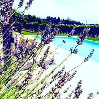 Residenza Eden - Colà di Lazise - 1