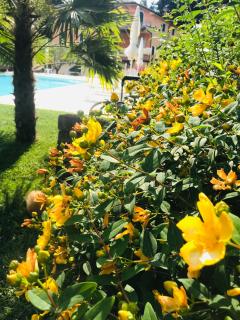 Residenza Eden - Colà di Lazise - 3