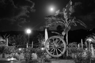 Hotel Residence Riviera Calabra - 5