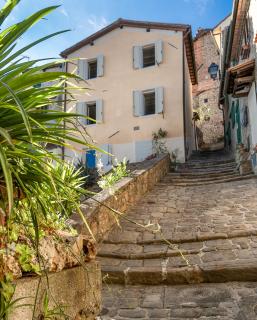 Casa Collodi Castello - 5