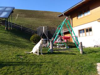 Haus Bucher - Wagrain - 7