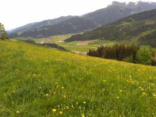 Haus Bucher - Wagrain - 3