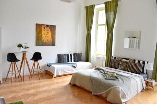 Wellness apartments Florenc - Praga - 8