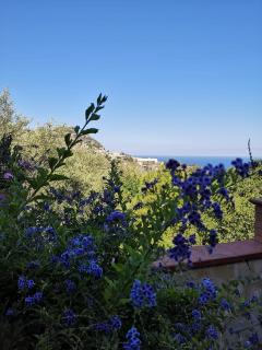 Villa Chris - Taormina - 3
