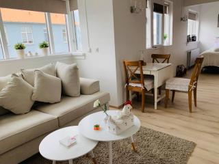 Skólavörðustígur Apartments - 5