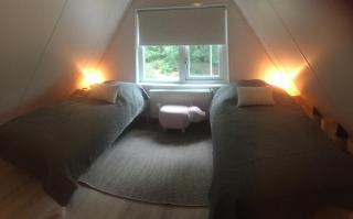 Guesthouse "Cosmea" - 1